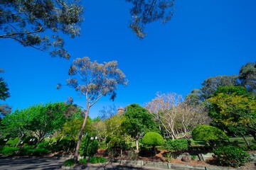 Beautifully vibrant colourful and Landscaped Gardens in a Buddhist temple in Wollongong NSW Australia