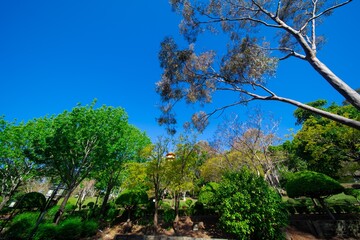 Beautifully vibrant colourful and Landscaped Gardens in a Buddhist temple in Wollongong NSW Australia