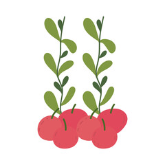 gardening, fruits apples and branch foliage isolated icon style