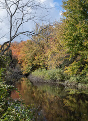 Fototapeta na wymiar Beautiful river and autumn colours in Muskoka Ontario