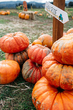 Pumpkins and gourds stacked below a hay ride sign