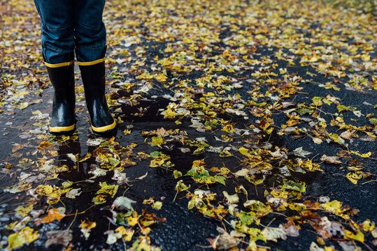 rain boots on yellow leaves