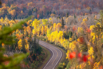 Naklejka na ściany i meble High angle view of a curving road by trees in autumn color in northern Minnesota