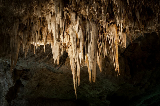 Mineral fomations Carlsbad Caverns National Park, New Mexico
