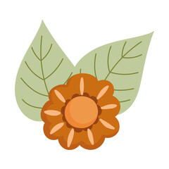 autumn flower leaves nature isolated icon design