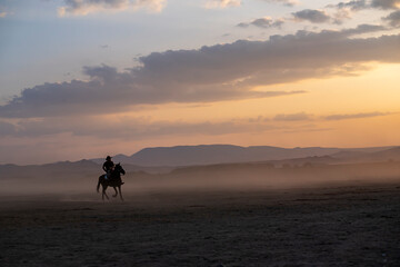 Wild horses run in foggy at sunset. Near Hormetci Village, between Cappadocia and Kayseri, Turkey