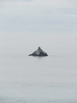 Rock above water surface