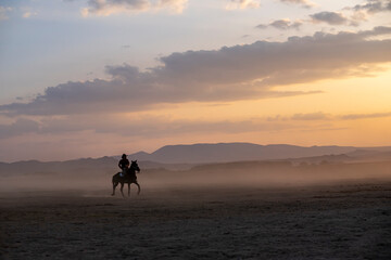 Wild horses run in foggy at sunset. Near Hormetci Village, between Cappadocia and Kayseri, Turkey