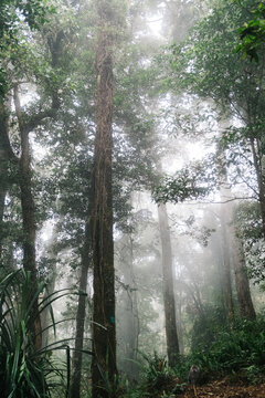 Mount Rinjani