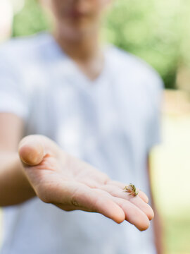 Tiny Frog