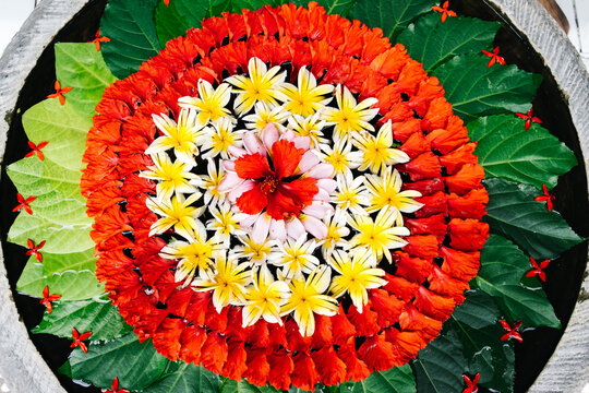 Flower arrangement