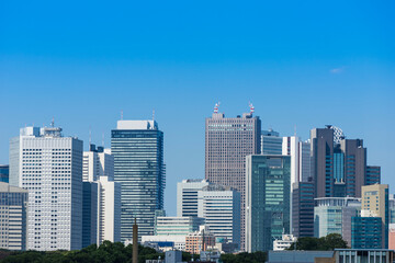 Fototapeta na wymiar 東京　新宿高層ビル群の風景