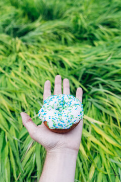 Colorful Sprinkled Doughnut