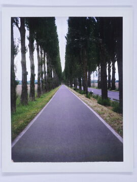 Endless road on polaroid shot.