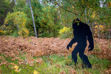 Bigfoot Sighting. Black silhouette of Bigfoot cutout at a state park in northern Michigan.