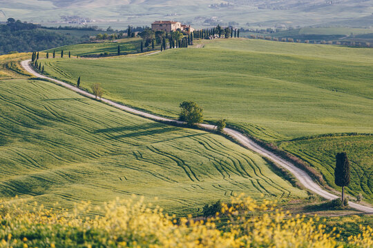 Gravel path to home