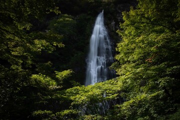 天滝　Ten Falls