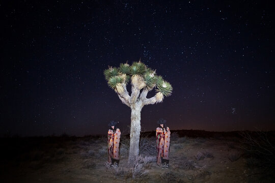 Desert Double Take with Starry Sky