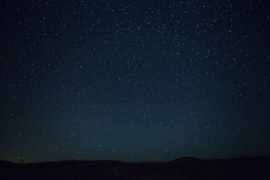 Starry Night with One Tiny Joshua Tree and Faint Meteor