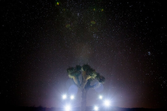 Alien Lights Around Joshua Tree with Amazing Starry Sky