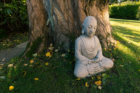 Stone carving of the buddha sitting by a tree in a sunny garden