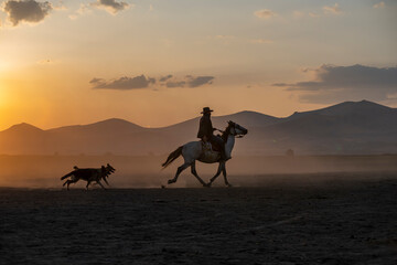 Fototapeta na wymiar Wild horses run in foggy at sunset. Near Hormetci Village, between Cappadocia and Kayseri, Turkey