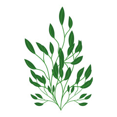 leaves plant nature branches isolated icon style