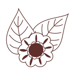 autumn flower leaves nature isolated icon design line style