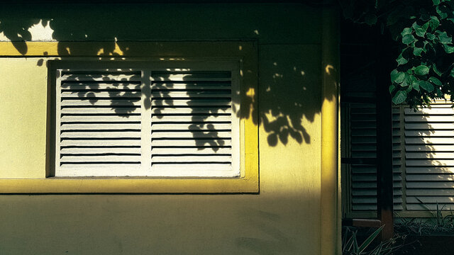 Beautiful morning light on a window on a yellow wall shadowed by leaves from a tree.