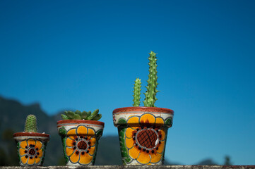 Naklejka premium Cactus en talavera