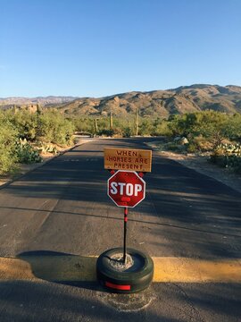 Horse Crossing