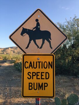Horse Crossing