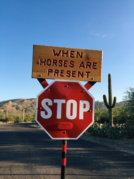 Horse Crossing
