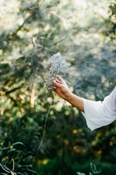 Hand holding smudge stick in bush