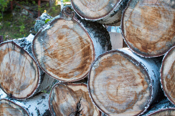 Abstract image of a pile of cut trees