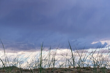 Obraz premium Grass On Background Of Dark Clouds
