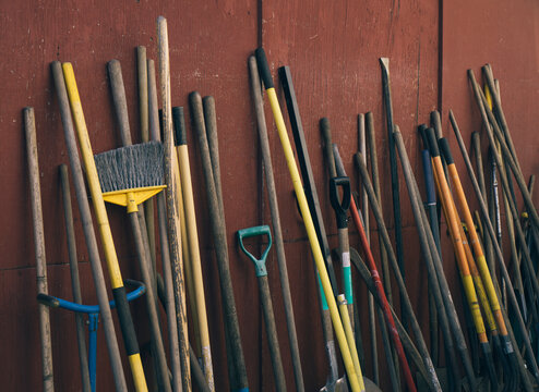 Various gardening tools leaning against shed
