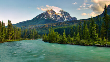 Bow River in Canadian wilderness with snowy mountain and pine trees, Banff National Park, Alberta,...