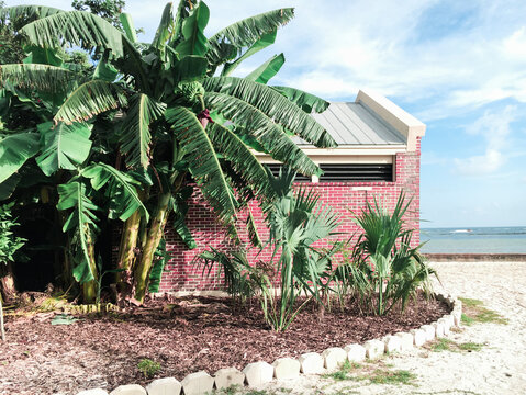 Little Hidden pinkish House next to Ocean