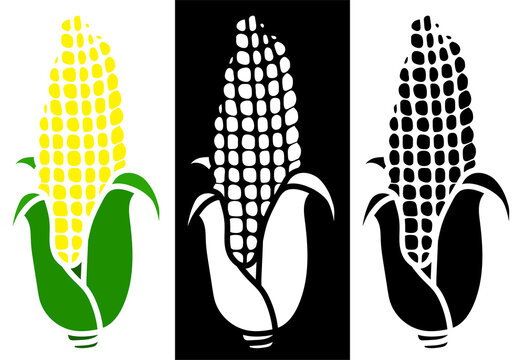 corn. Autumn harvest. Thanksgiving holiday. Minimalistic vector