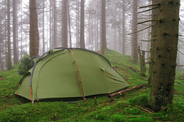 Tent camping in Norwegian wilderness, deep green forest, fog, Bergen, Norway