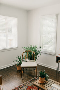 Trendy mid-century modern home details of a wooden pin-leg chair and potted plants