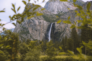 Yosemite National Park
