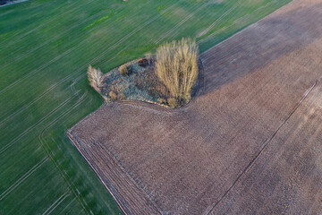 Farm fields from drone in spring