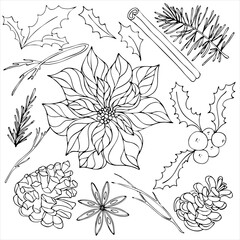 decorative elements for new year and christmas - poinsettia, holly, pine cone, cinnamon, tree, vector set of elements in doodle style, coloring book