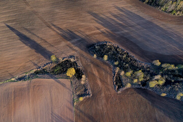 Plowed farm field in early spring and small grove trees, aerial