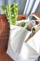 野菜を入れたエコバッグ