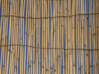 立て掛けたヨシズ