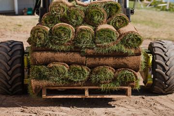 Rolls of sod grass on a palette ready for delivery