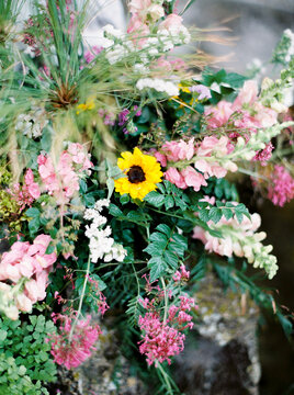 Colourful flowers